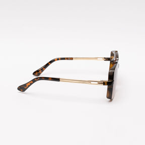 Lente de sol Café Kavar / Café UV400 X FIRE